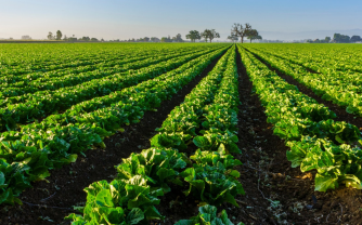 Attrezzature e macchine agricole